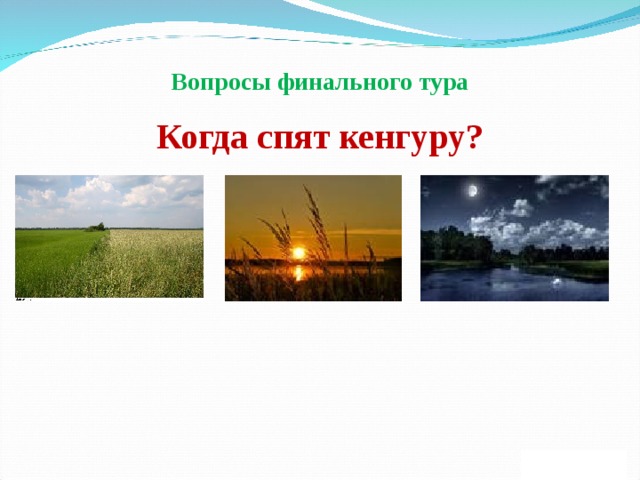 Вопросы финального тура Когда спят кенгуру? 