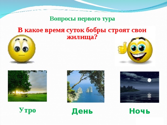 Вопросы первого тура    В какое время суток бобры строят свои жилища? Утро День Ночь 