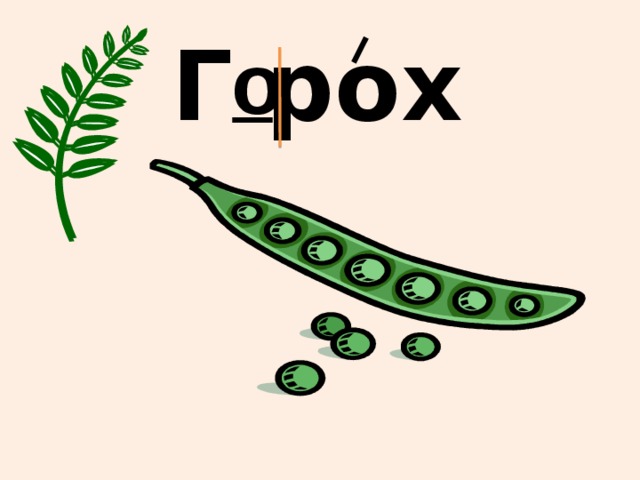 о Г рох  