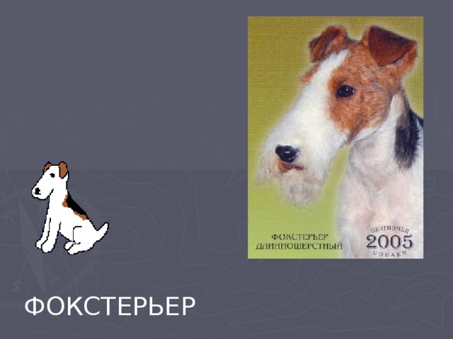 ФОКСТЕРЬЕР 