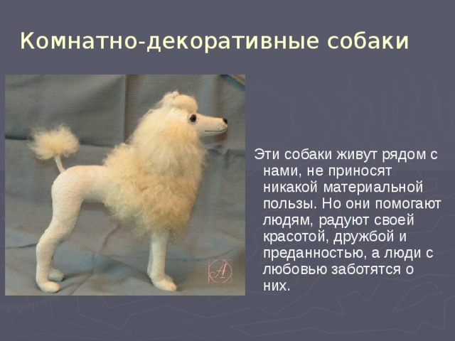 Комнатно-декоративные собаки  Эти собаки живут рядом с нами, не приносят никакой материальной пользы. Но они помогают людям, радуют своей красотой, дружбой и преданностью, а люди с любовью заботятся о них. 