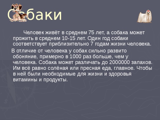 Собаки  Человек живёт в среднем 75 лет, а собака может прожить в среднем 10-15 лет. Один год собаки соответствует приблизительно 7 годам жизни человека.  В отличие от человека у собак сильно развито обоняние, примерно в 1000 раз больше, чем у человека. Собака может различать до 2000000 запахов. Им всё равно солёная или пресная еда, главное. Чтобы в ней были необходимые для жизни и здоровья витамины и продукты. 