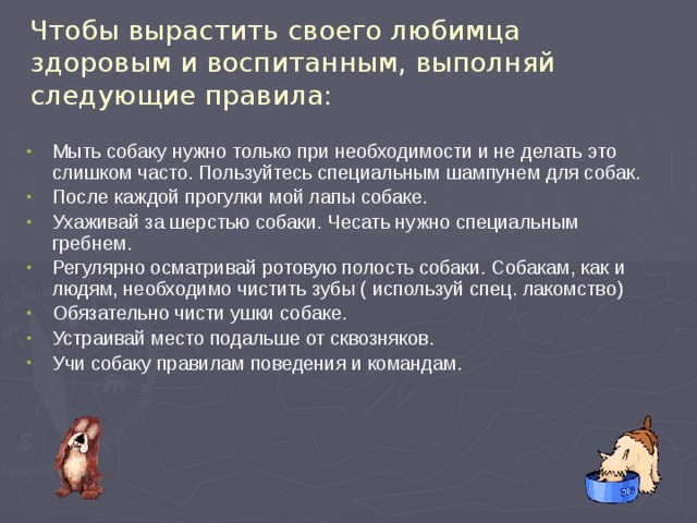 Чтобы вырастить своего любимца здоровым и воспитанным, выполняй следующие правила : Мыть собаку нужно только при необходимости и не делать это слишком часто. Пользуйтесь специальным шампунем для собак. После каждой прогулки мой лапы собаке. Ухаживай за шерстью собаки. Чесать нужно специальным гребнем. Регулярно осматривай ротовую полость собаки. Собакам, как и людям, необходимо чистить зубы ( используй спец. лакомство) Обязательно чисти ушки собаке. Устраивай место подальше от сквозняков. Учи собаку правилам поведения и командам. 