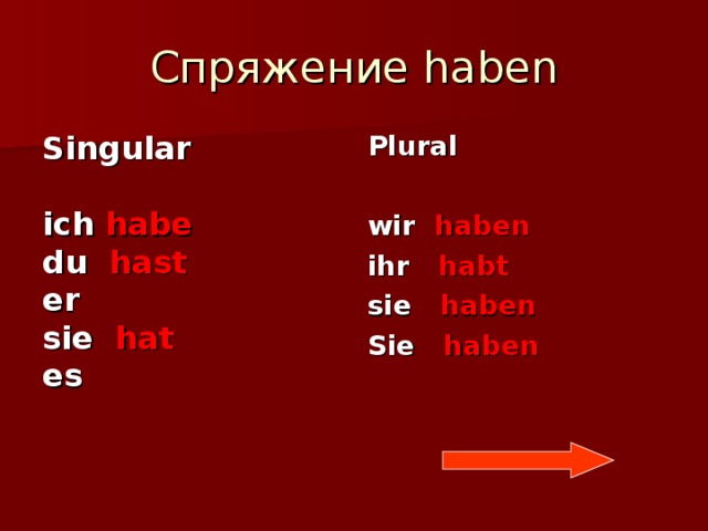 Спряжение haben Plural Singular  ich habe du hast er sie hat es  wir haben ihr habt sie haben Sie haben  