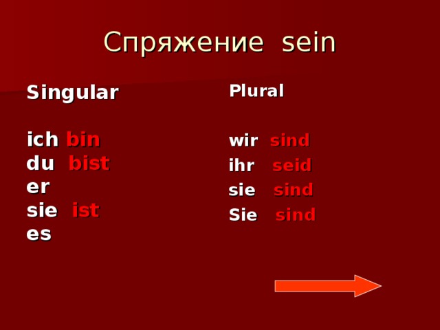 Спряжение sein Plural Singular  ich bin du bist er sie ist es  wir sind ihr seid sie sind Sie sind 