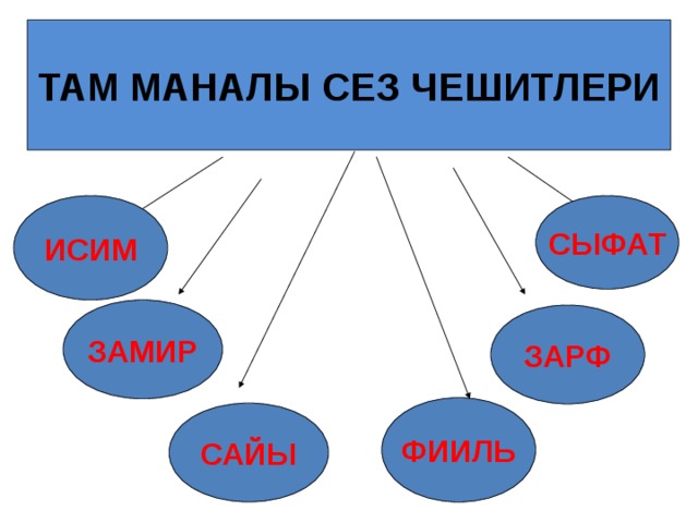 ТАМ МАНАЛЫ СЕЗ ЧЕШИТЛЕРИ ИСИМ СЫФАТ ЗАМИР ЗАРФ ФИИЛЬ САЙЫ 