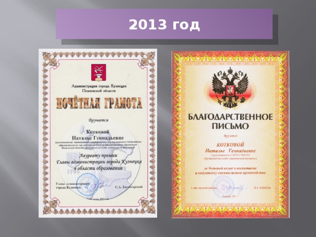 2013 год 
