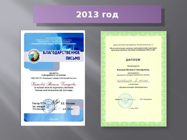 2013 год 