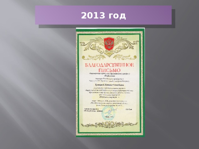 2013 год 