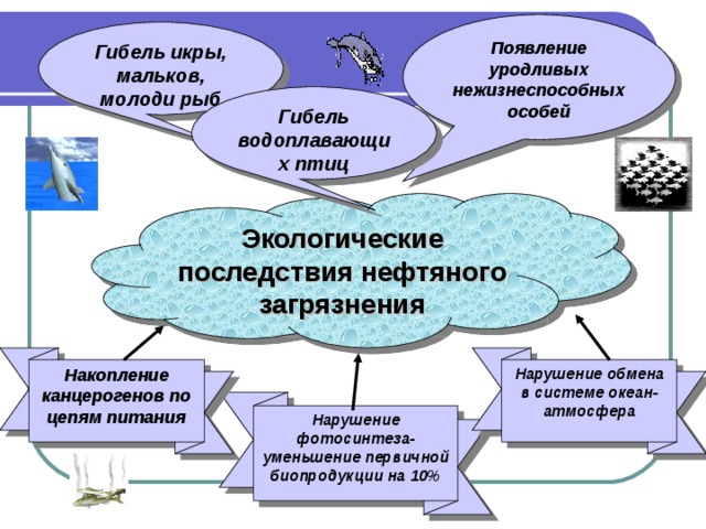 Появление уродливых нежизнеспособных особей Гибель икры, мальков, молоди рыб  Гибель водоплавающих птиц  Экологические последствия нефтяного загрязнения Нарушение обмена в системе океан-атмосфера Накопление канцерогенов по цепям питания Нарушение фотосинтеза- уменьшение первичной биопродукции на 10% 