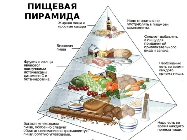 ПИЩЕВАЯ ПИРАМИДА 