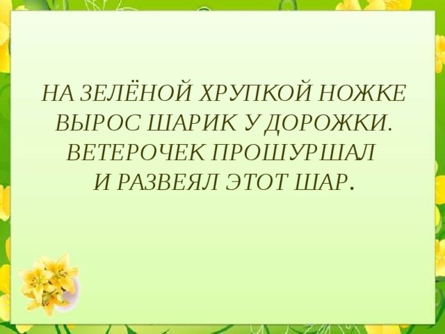  НА ЗЕЛЁНОЙ ХРУПКОЙ НОЖКЕ ВЫРОС ШАРИК У ДОРОЖКИ. ВЕТЕРОЧЕК ПРОШУРШАЛ  И РАЗВЕЯЛ ЭТОТ ШАР .   