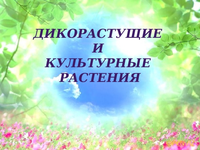 Дикорастущие и культурные растения 