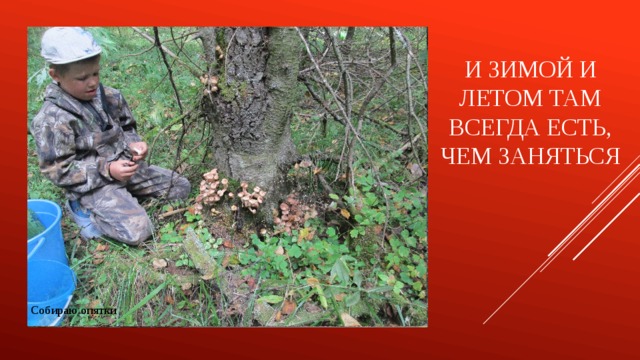 И зимой и летом там всегда есть, чем заняться Я - тыква Собираю опятки Я с кабачком Собираю березовый сок Я с арбузом Прочищаем с дедом туннель Сделал маленького снеговика Чищу ото льда тротуар Запускаю кораблик Прыгаю на батуте Собираю камешки для дорожки Помогаю бабе собирать морковь  