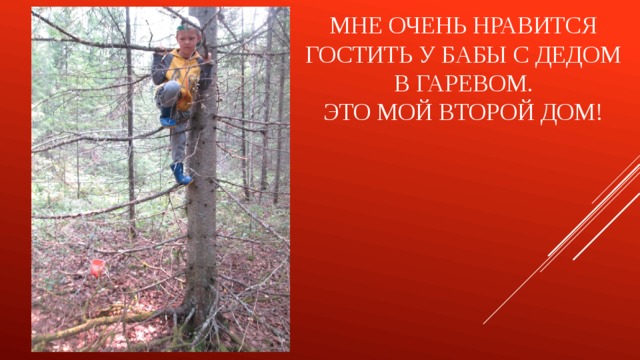 Мне очень нравится гостить у бабы с дедом в гаревом.  Это мой второй дом! 