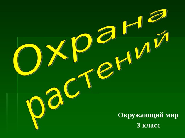 Окружающий мир 3 класс 