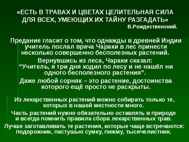 «ЕСТЬ В ТРАВАХ И ЦВЕТАХ ЦЕЛИТЕЛЬНАЯ СИЛА ДЛЯ ВСЕХ, УМЕЮЩИХ ИХ ТАЙНУ РАЗГАДАТЬ» В.Рождественский. Предание гласит о том, что однажды в древней Индии учитель послал врача Чараки в лес принести несколько совершенно бесполезных растений. Вернувшись из леса, Чараки  сказал :  “ Учитель,  я три дня ходил по лесу и не нашёл ни одного бесполезного растения ” . Даже любой сорняк – это растение, достоинства которого ещё просто не раскрыты. Из лекарственных растений можно собирать только те, которых в нашей местности много. Часть растений нужно обязательно оставлять в природе  и всегда помнить правила сбора лекарственных трав. Лучше заготавливать те растения, которые чаще встречаются: подорожник, пастушью сумку, пижму, тысячелистник. 