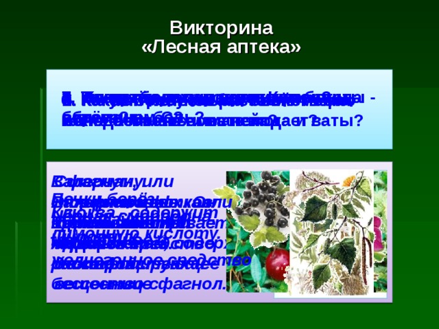 Викторина «Лесная аптека»  7. Какие болезни лечит красавица - берёза? 3. Какая ягода заменяет лимон? 4. Плоды каких кустарников богаты витамином С? 1. Ты натёр ногу в пути. Как облегчить боль? 6. Какую траву любят кошки? При каких болезнях она помогает? 2. Какое болотное растение можно использовать вместо йода и ваты? 5. Какими лечебными свойствами обладает мать-и-мачеха?  Сфагнум, или торфяной мох. Он хорошо впитывает кровь и гной, содержит дезинфицирующее вещество сфагнол. Валериану. Валериановые капли применяют при нервных расстройствах и бессоннице Почки берёзы используют как мочегонное и желчегонное средство Отвар из цветков и листьев - хорошее средство от кашля Клюква - содержит лимонную кислоту. Чёрная смородина, шиповник. Приложить лист подорожника. 