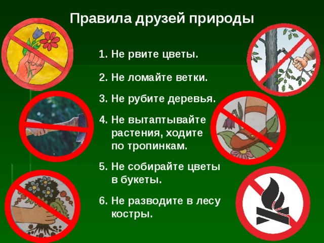 Правила друзей природы Не рвите цветы. Не ломайте ветки. Не рубите деревья. Не вытаптывайте  растения, ходите  по тропинкам. Не собирайте цветы  в букеты. Не разводите в лесу  костры. 