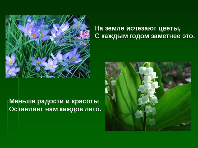 На земле исчезают цветы, С каждым годом заметнее это. Меньше радости и красоты Оставляет нам каждое лето. 