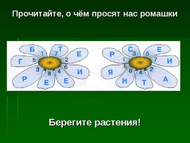 Прочитайте, о чём просят нас ромашки Берегите растения! 