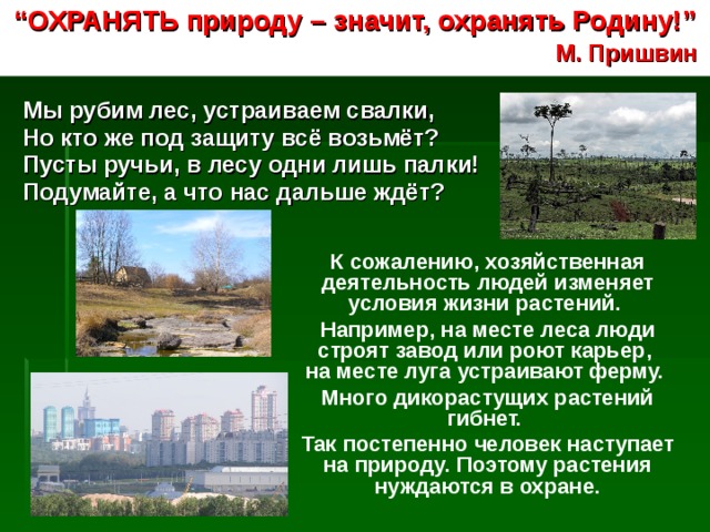 “ ОХРАНЯТЬ природу – значит, охранять Родину! ”  М. Пришвин   Мы рубим лес, устраиваем свалки, Но кто же под защиту всё возьмёт? Пусты ручьи, в лесу одни лишь палки!  Подумайте, а что нас дальше ждёт? К сожалению, хозяйственная деятельность людей изменяет условия жизни растений. Например, на месте леса люди строят завод или роют карьер,  на месте луга устраивают ферму. Много дикорастущих растений гибнет. Так постепенно человек наступает на природу. Поэтому растения нуждаются в охране. 