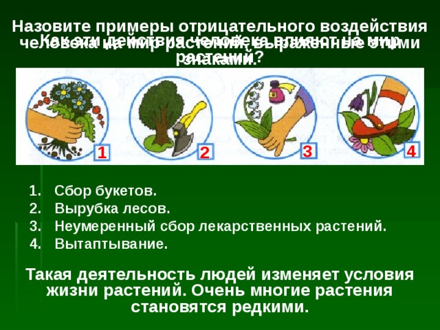 Назовите примеры отрицательного воздействия человека на мир растений, выраженные этими знаками. Как эти действия человека влияют на мир растений? 4 3 2 1 Сбор букетов. Вырубка лесов. Неумеренный сбор лекарственных растений. Вытаптывание. Такая деятельность людей изменяет условия жизни растений. Очень многие растения становятся редкими. 