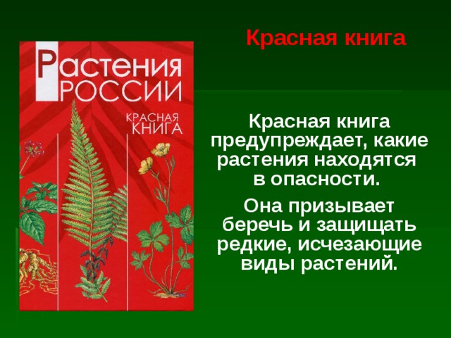 Красная книга Красная книга предупреждает, какие растения находятся  в опасности. Она призывает беречь и защищать редкие, исчезающие виды растений. 