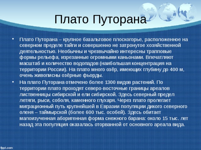 Плато Путорана Плато Путорана – крупное базальтовое плоскогорье, расположенное на северном пределе тайги и совершенно не затронутое хозяйственной деятельностью. Необычны и чрезвычайно интересны трапповые формы рельефа, изрезанные огромными каньонами. Впечатляют масштаб и количество водопадов (наибольшая концентрация на территории России). На плато много озёр, имеющих глубину до 400 м, очень живописны озёрные фьорды. На плато Путорана отмечено более 1300 видов растений. По территории плато проходят северо-восточные границы ареалов лиственницы сибирской и ели сибирской. Здесь северный предел летяги, рыси, соболя, каменного глухаря. Через плато пролегает миграционный путь крупнейшей в Евразии популяции дикого северного оленя – таймырской (более 600 тыс. особей). Здесь обитает малоизученная аборигенная форма снежного барана: около 15 тыс. лет назад эта популяция оказалась оторванной от основного ареала вида. 