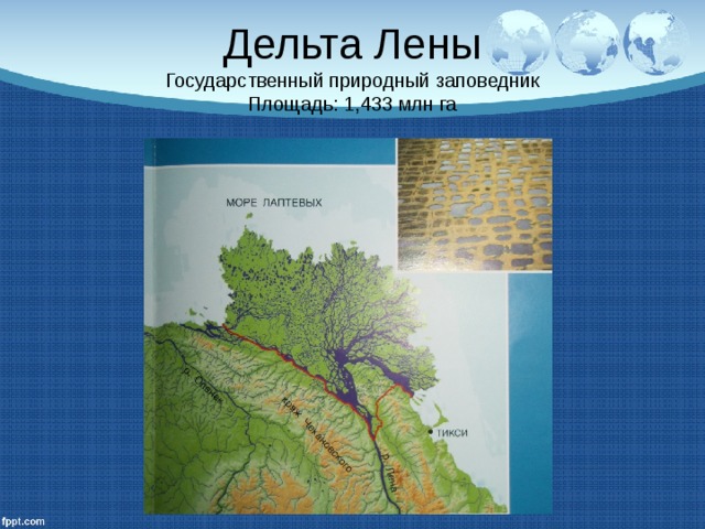 Дельта Лены  Государственный природный заповедник  Площадь: 1,433 млн га 