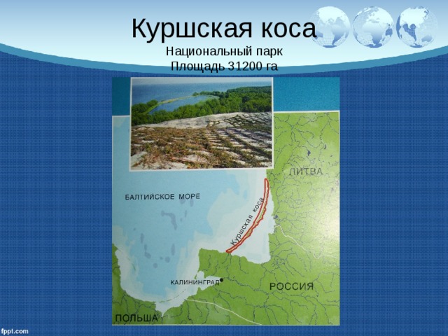 Куршская коса  Национальный парк  Площадь 31200 га 