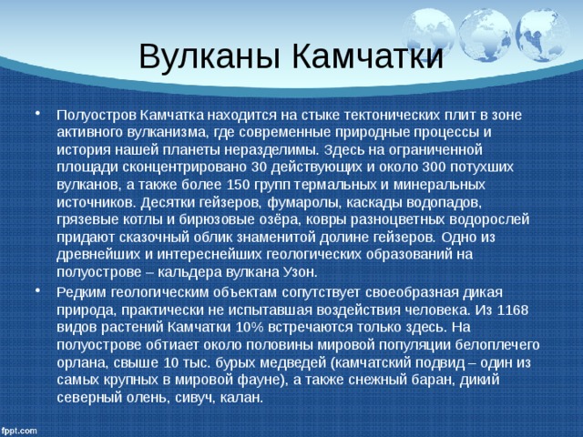Вулканы Камчатки Полуостров Камчатка находится на стыке тектонических плит в зоне активного вулканизма, где современные природные процессы и история нашей планеты неразделимы. Здесь на ограниченной площади сконцентрировано 30 действующих и около 300 потухших вулканов, а также более 150 групп термальных и минеральных источников. Десятки гейзеров, фумаролы, каскады водопадов, грязевые котлы и бирюзовые озёра, ковры разноцветных водорослей придают сказочный облик знаменитой долине гейзеров. Одно из древнейших и интереснейших геологических образований на полуострове – кальдера вулкана Узон. Редким геологическим объектам сопутствует своеобразная дикая природа, практически не испытавшая воздействия человека. Из 1168 видов растений Камчатки 10% встречаются только здесь. На полуострове обтиает около половины мировой популяции белоплечего орлана, свыше 10 тыс. бурых медведей (камчатский подвид – один из самых крупных в мировой фауне), а также снежный баран, дикий северный олень, сивуч, калан. 