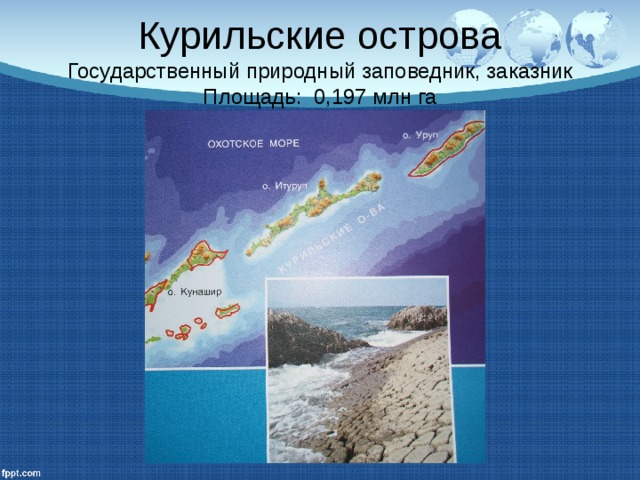 Курильские острова  Государственный природный заповедник, заказник  Площадь: 0,197 млн га 