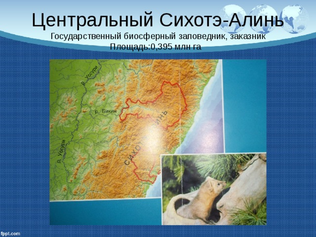 Центральный Сихотэ-Алинь  Государственный биосферный заповедник, заказник  Площадь:0,395 млн га 