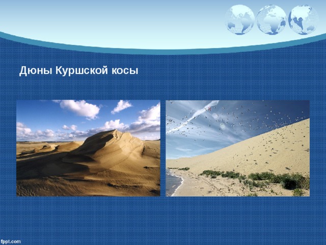 Дюны Куршской косы 