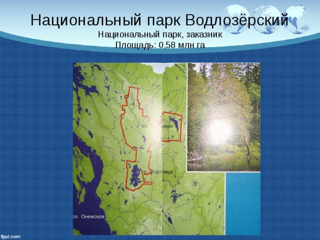 Национальный парк Водлозёрский  Национальный парк, заказник  Площадь: 0,58 млн га 