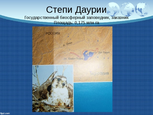 Степи Даурии  Государственный биосферный заповедник, заказник  Площадь: 0,175 млн га 