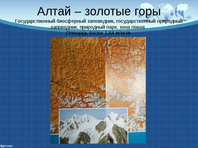   Алтай – золотые горы  Государственный биосферный заповедник, государственный природный заповедник, природный парк, зона покоя  Площадь более 1,64 млн га   
