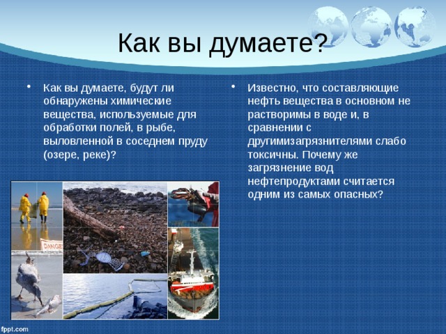 Как вы думаете? Как вы думаете, будут ли обнаружены химические вещества, используемые для обработки полей, в рыбе, выловленной в соседнем пруду (озере, реке)? Известно, что составляющие нефть вещества в основном не растворимы в воде и, в сравнении с другимизагрязнителями слабо токсичны. Почему же загрязнение вод нефтепродуктами считается одним из самых опасных? 