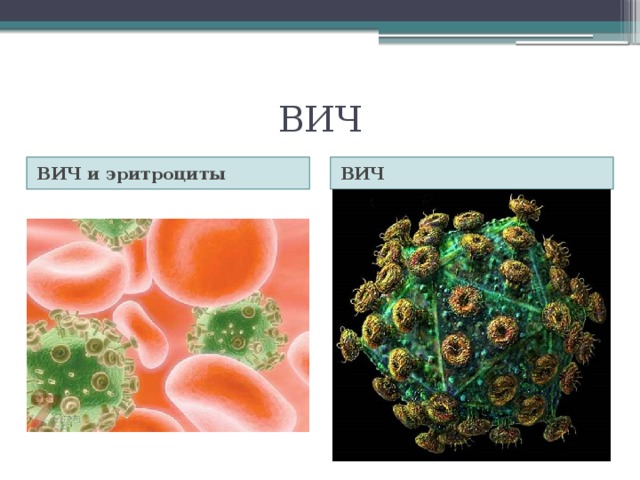 ВИЧ ВИЧ и эритроциты ВИЧ 