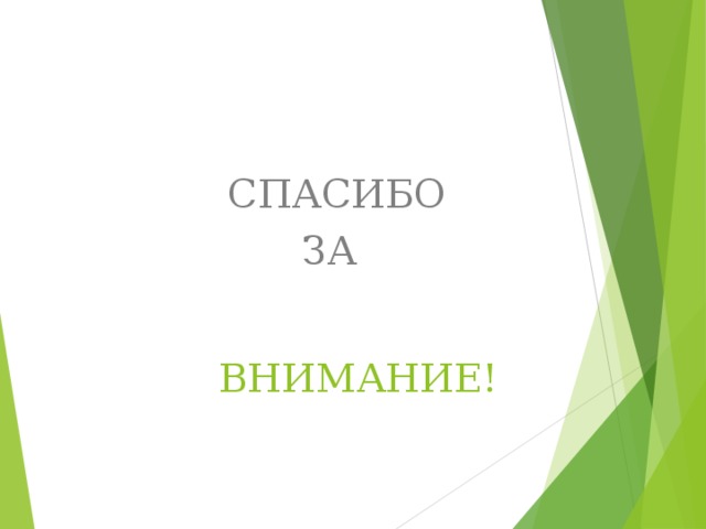  СПАСИБО  ЗА ВНИМАНИЕ! 