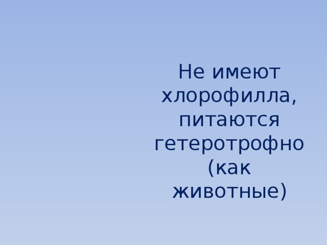 Не имеют хлорофилла, питаются гетеротрофно (как животные) 