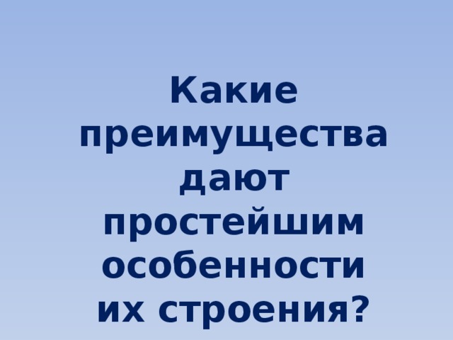Какие преимущества дают простейшим особенности их строения? 