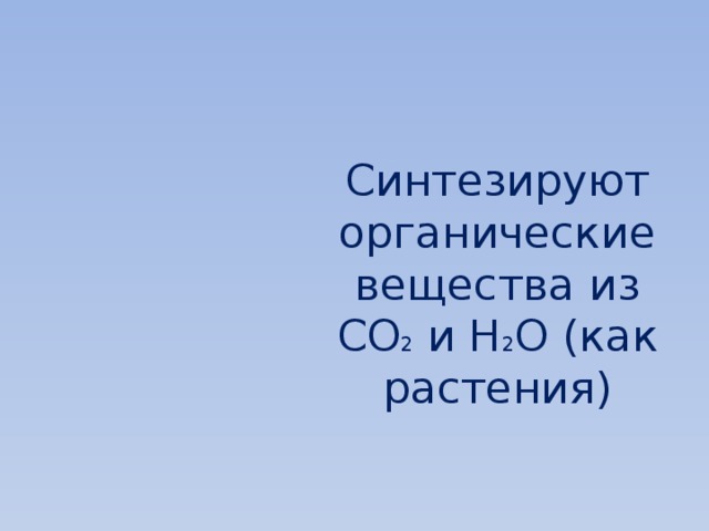 Синтезируют органические вещества из CO 2 и H 2 O (как растения) 