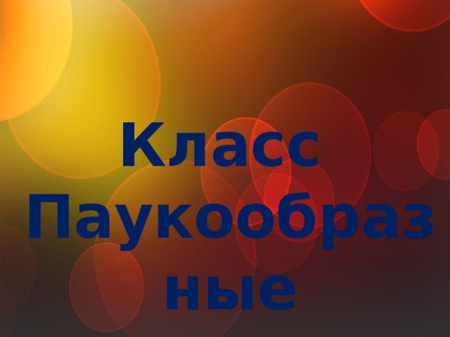 Класс Паукообразные 