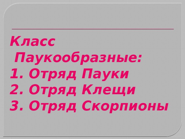 Класс Паукообразные: 1. Отряд Пауки 2. Отряд Клещи 3. Отряд Скорпионы 