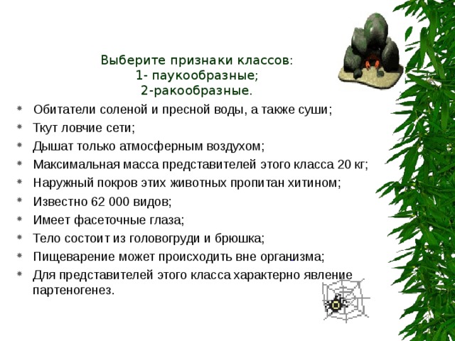 Выберите признаки классов:  1- паукообразные;  2-ракообразные. Обитатели соленой и пресной воды, а также суши; Ткут ловчие сети; Дышат только атмосферным воздухом; Максимальная масса представителей этого класса 20 кг; Наружный покров этих животных пропитан хитином; Известно 62 000 видов; Имеет фасеточные глаза; Тело состоит из головогруди и брюшка; Пищеварение может происходить вне организма; Для представителей этого класса характерно явление партеногенез. 