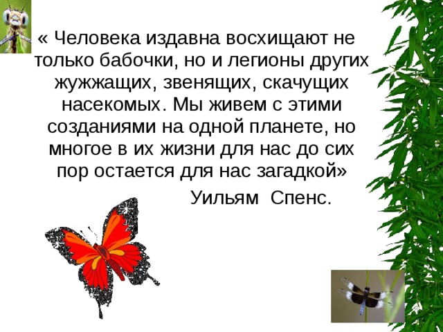  « Человека издавна восхищают не только бабочки, но и легионы других жужжащих, звенящих, скачущих насекомых. Мы живем с этими созданиями на одной планете, но многое в их жизни для нас до сих пор остается для нас загадкой»  Уильям Спенс. 