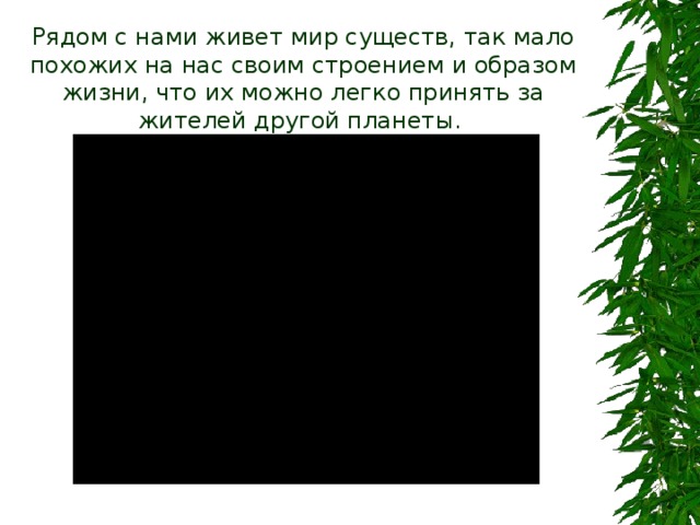 Рядом с нами живет мир существ, так мало похожих на нас своим строением и образом жизни, что их можно легко принять за жителей другой планеты. 