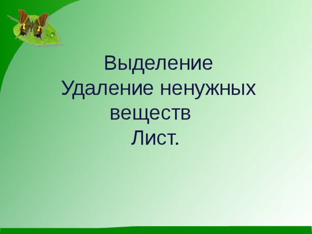 Выделение Удаление ненужных веществ Лист. 